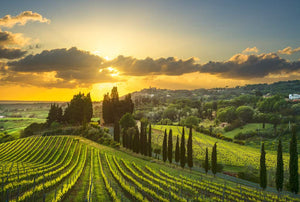 Italian Wine Tasting 6.30pm - 8pm 28th March 2025